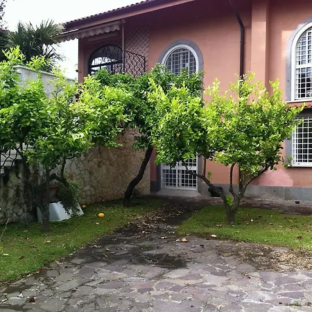 Iolanda Roma